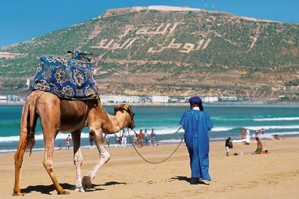 Marrakech Excursions: Essaouira & Agadir Coastal Escape