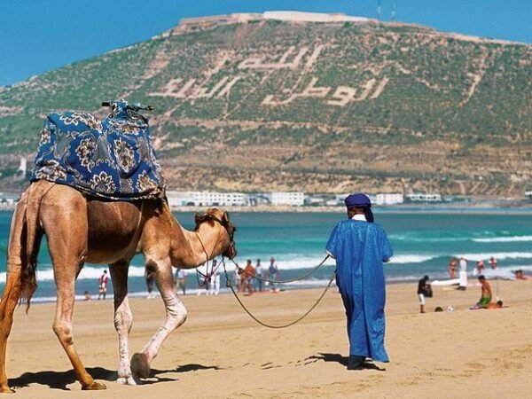 Marrakech Excursions: Essaouira & Agadir Coastal Escape