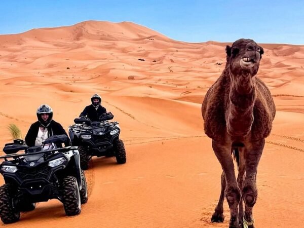 Merzouga Quad – 2H Erg Chebbi Dunes Sahara Desert Adventure