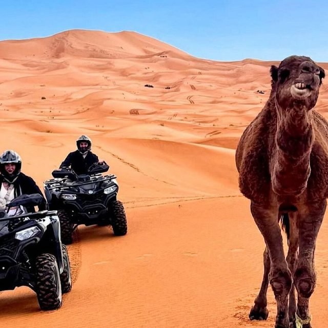 Merzouga Quad – 2H Erg Chebbi Dunes Sahara Desert Adventure